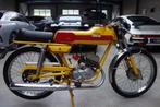 DUCATI 50 SPORT SL 1, Motoren, Motoren | Oldtimers, Sport, 49 cc, 1 cilinder