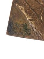 Bronzen medaille — Hommage aan professor René Verhoogen, Ophalen of Verzenden, Brons