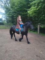 Fell pony, Dieren en Toebehoren