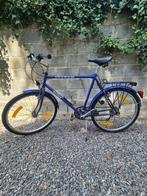 Vélo homme Active, Autres marques, Vitesses, Enlèvement, 53 à 57 cm