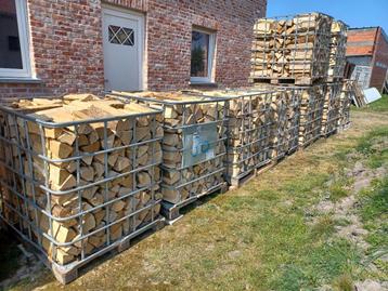 1 ste keus brandhout. Eik en beuk uit brandhout uit de stam beschikbaar voor biedingen