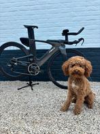 Felt IA Advanced disque. Sram force AXS. Triathlon., Fietsen en Brommers, Ophalen, Gebruikt, Carbon