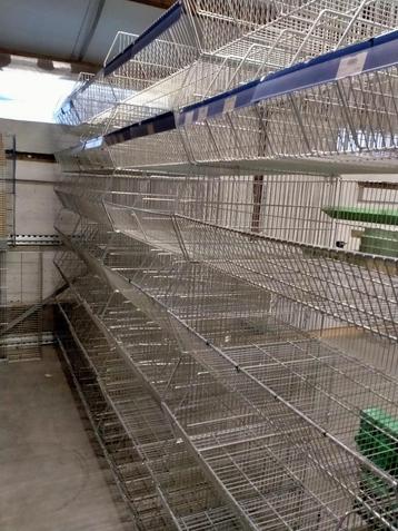 Winkel-Magazijnrekken beschikbaar voor biedingen