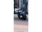 Harley Davidson - Chopper - VRSCDX Night-Rod Special - Motor, Motoren, Motoren | Harley-Davidson, Bedrijf, Overig