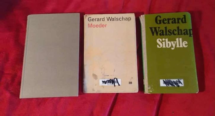 boeken van Gerard Walschap, Boeken, Literatuur, Ophalen of Verzenden