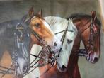 Paarden, Ophalen of Verzenden