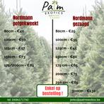 Nordmann kerstbomen eerste keuze, Tuin en Terras, Planten | Bomen, Ophalen, Overige soorten, 100 tot 250 cm