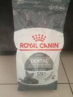 Royal Canin Dental katten voeding 1,5 kg, Enlèvement, Chat