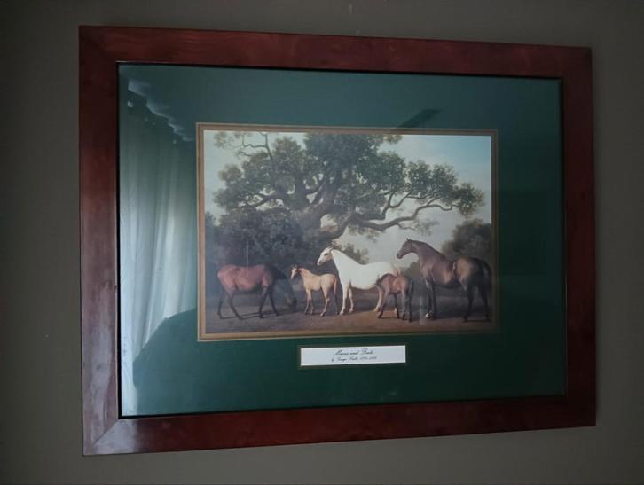 Horses, Antiek en Kunst, Kunst | Schilderijen | Klassiek, Ophalen of Verzenden