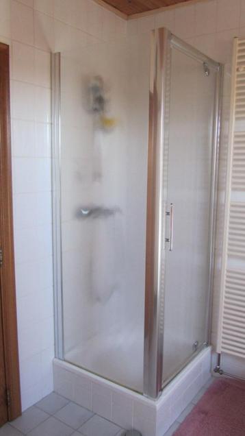 Douchedeur + douchewand 80 x 80 beschikbaar voor biedingen