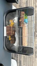 Kooi + toebehoren te koop, Dieren en Toebehoren, Ophalen, Zo goed als nieuw, Kooi, Hamster