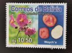 Bolivie 2008 Année internationale de la pomme de terre fleur, Timbres & Monnaies, Timbres | Amérique, Affranchi, Amérique du Sud