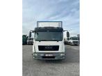 HOMME - 2014 - TGL 12.220 - Camion, Autos, Achat, Entreprise, Autres carburants, MAN