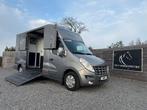Renault Master PAARDENWAGEN | HORSETRUCK | MTM | STALLION 3X, Dieren en Toebehoren, Ophalen, Gebruikt, Overige materialen, Overige typen