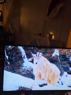 Tv scherm, Ophalen, Gebruikt, Samsung