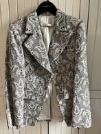 Jasje erny van reymersdal maat 40, Kleding | Dames, Jasjes, Kostuums en Pakken, Ophalen, Zo goed als nieuw, Maat 38/40 (M), Jasje