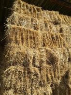 Kleine balen hooi eerste snee! Vast geperst en mooi bewaard., Ophalen, Vee