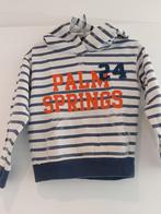 Hoodie met kap, Kinderen en Baby's, Ophalen of Verzenden, Zo goed als nieuw, Jongen of Meisje, Trui of Vest