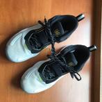 Adidas  Hoops sport schoenen maat 42, Vêtements | Hommes, Chaussures, Porté, Autres couleurs, Enlèvement ou Envoi, Adidas
