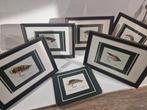 6 onderleggers met of zonder kader , salmon fly ,32 x 24 cm, Ophalen of Verzenden, Zo goed als nieuw