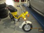 Yamaha Chappy, Overige modellen