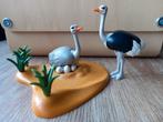 Playmobil 4831 struisvogels, Kinderen en Baby's, Speelgoed | Playmobil, Ophalen of Verzenden, Zo goed als nieuw, Complete set