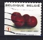 Belg. 2007 - nr 3693, Timbres & Monnaies, Timbres | Europe | Belgique, Envoi, Oblitéré