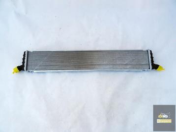MERCEDES W206,w257,w222 AMG KOELER A0995004800 beschikbaar voor biedingen