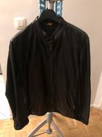 Blouson en cuir Zara Young - Taille : L, Enlèvement, Porté, Taille 52/54 (L), Noir