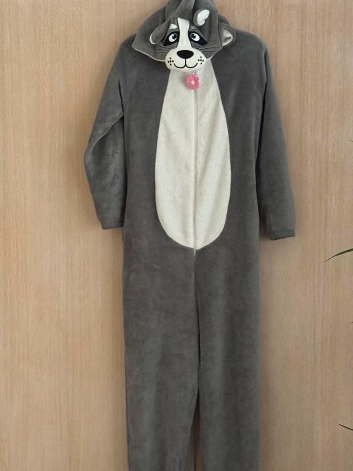 Onesie Sluiting: rits Maat S, Kinderen en Baby's, Carnavalskleding en Verkleedspullen, Gebruikt, Jongen of Meisje, 170 of groter