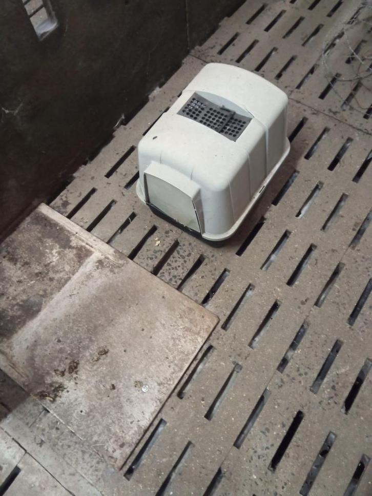 Kattenbak in zeer goede staat te koop, Dieren en Toebehoren, Kattenbakken, Zo goed als nieuw, Gesloten, Ophalen