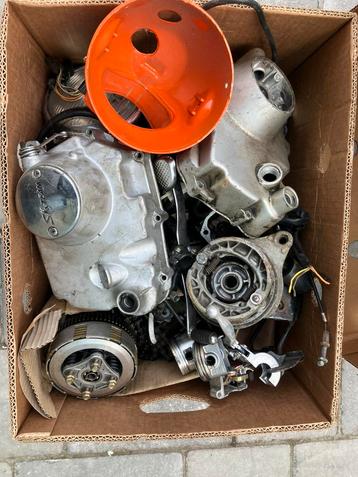 dax monkey skyteam pbr beschikbaar voor biedingen