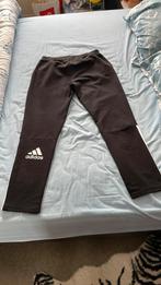 Training adidas neuf xl, Ophalen, Nieuw