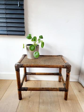 Rotan bijzettafel of plantentafel beschikbaar voor biedingen