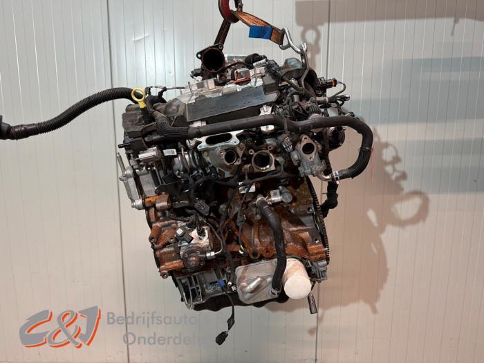 Motor van een Ford Transit Custom, Auto-onderdelen, Motor en Toebehoren, Ford, Gebruikt, 3 maanden garantie, Ophalen of Verzenden