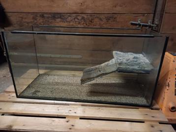 Aquarium   //  terrarium  beschikbaar voor biedingen