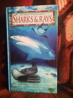 The Nature Company Guides Sharks & Rays, Enlèvement ou Envoi, Comme neuf