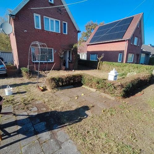Tuinman aangeboden !, Tuin en Terras, Planten | Struiken en Hagen, Ophalen
