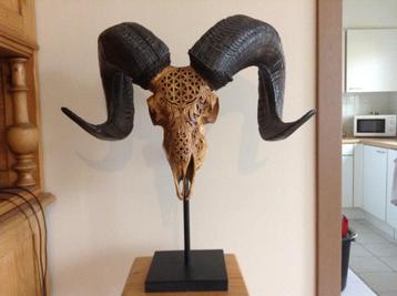 Originele Ram Schedel op staander beschikbaar voor biedingen