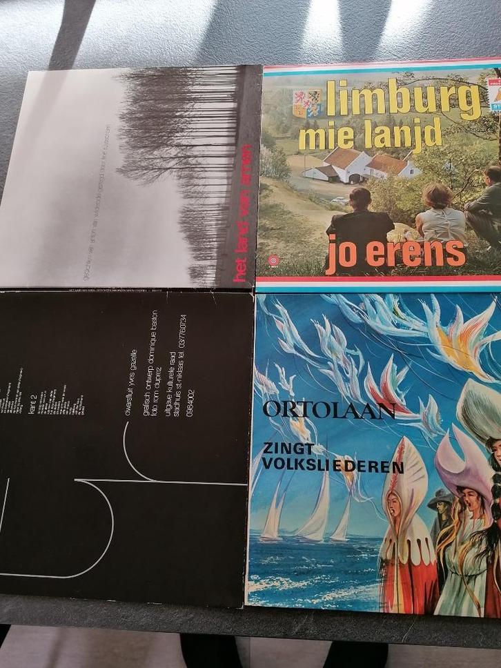 Jo erens – Ortolaan – Anton van Wilderode, Cd's en Dvd's, Vinyl | Overige Vinyl, Zo goed als nieuw, 12 inch, Ophalen of Verzenden