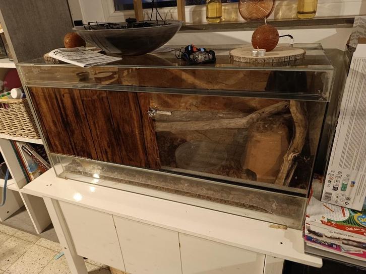 Terrarium Python regius, Dieren en Toebehoren, Overige Dieren-accessoires, Gebruikt, Ophalen