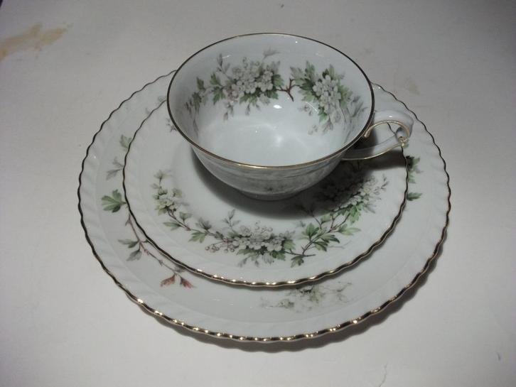 ontbijtset Franconia Krautheim Hawthorn kop schotel en bord, Huis en Inrichting, Keuken | Servies, Zo goed als nieuw, Kop(pen) en/of Schotel(s)