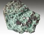 CUPRIET kristallen op Chrysocolla uit Katanga., Ophalen of Verzenden, Mineraal