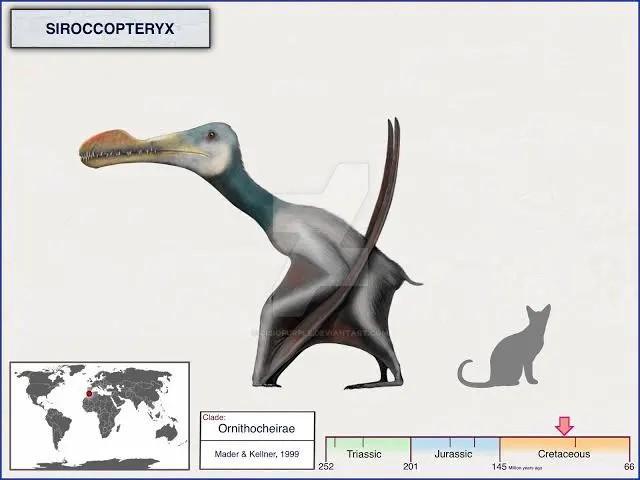 Siroccopteryx tand, mooi exemplaar!, Telecommunicatie, Mobiele telefoons | Batterijen en Accu's, Verzenden