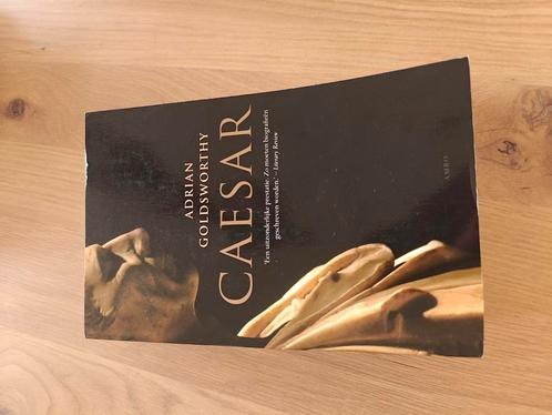 Adrian Goldsworthy - Caesar, Boeken, Geschiedenis | Wereld, Zo goed als nieuw, Ophalen of Verzenden