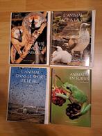 ARTIS-HISTORIA : La vie des animaux, Ophalen of Verzenden, Nieuw