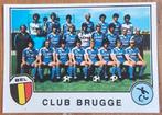 Panini Sport Superstars nr 218 Team Club Brugge ongebruikt!, Ophalen of Verzenden, Zo goed als nieuw, Sticker