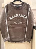 Nieuwe groene sweater van Green ICE (S)., Kleding | Dames, Truien en Vesten, Ophalen, Nieuw, Maat 36 (S), Groen