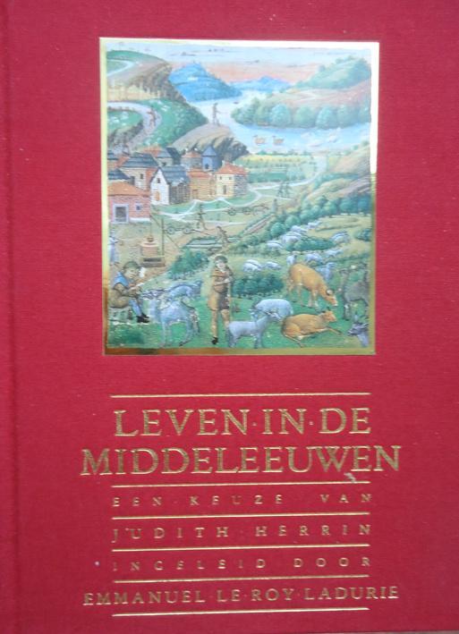 Leven in de middeleeuwen, Boeken, Geschiedenis | Wereld, Ophalen of Verzenden