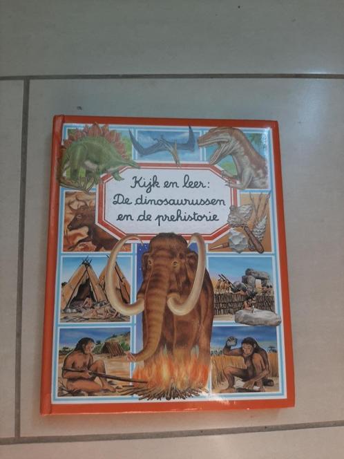 Boekje over coole dinosaurussen en de prehistorie, Boeken, Kinderboeken | Jeugd | 13 jaar en ouder, Zo goed als nieuw, Non-fictie